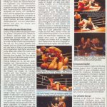 SHOGUN 2002